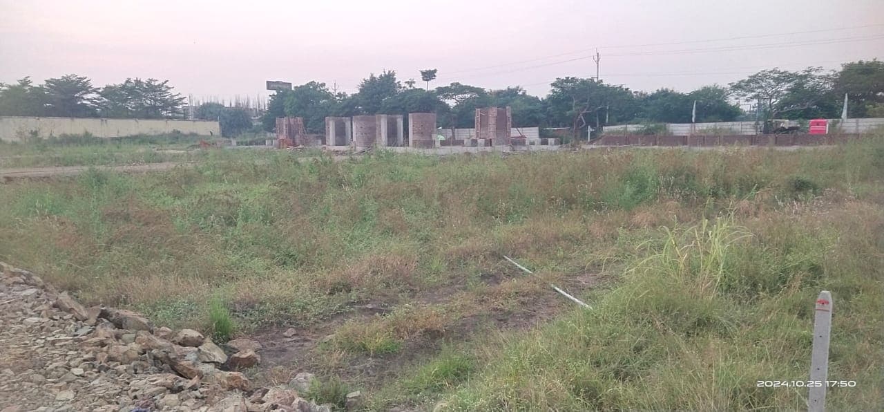 Ashok Field