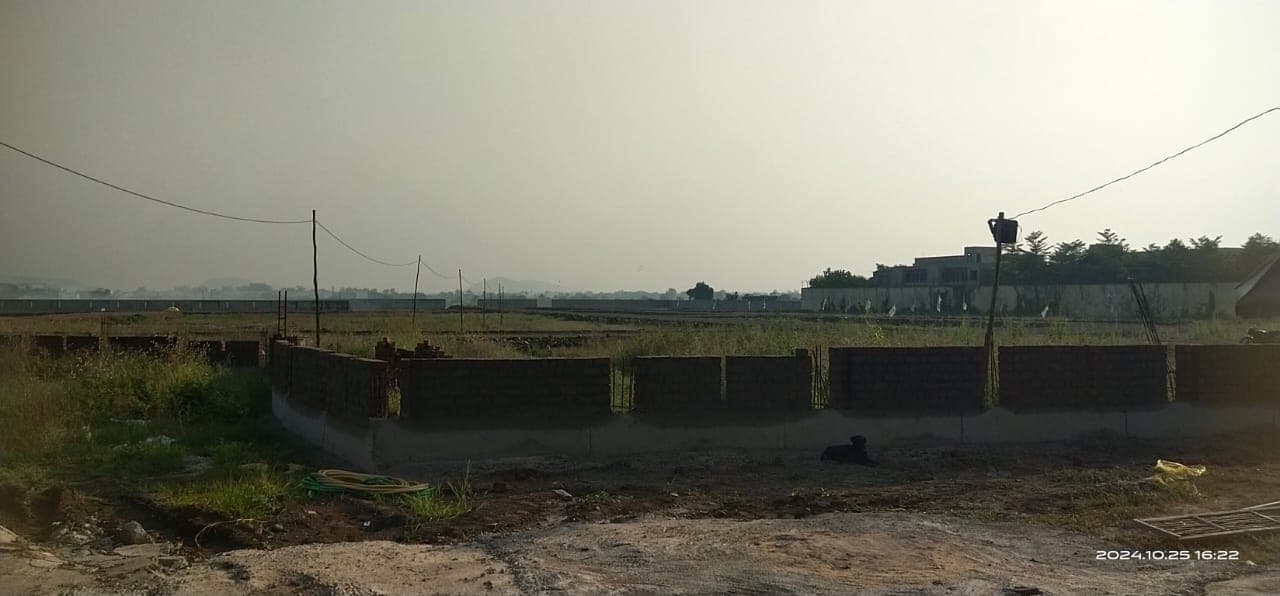 Ashok Field