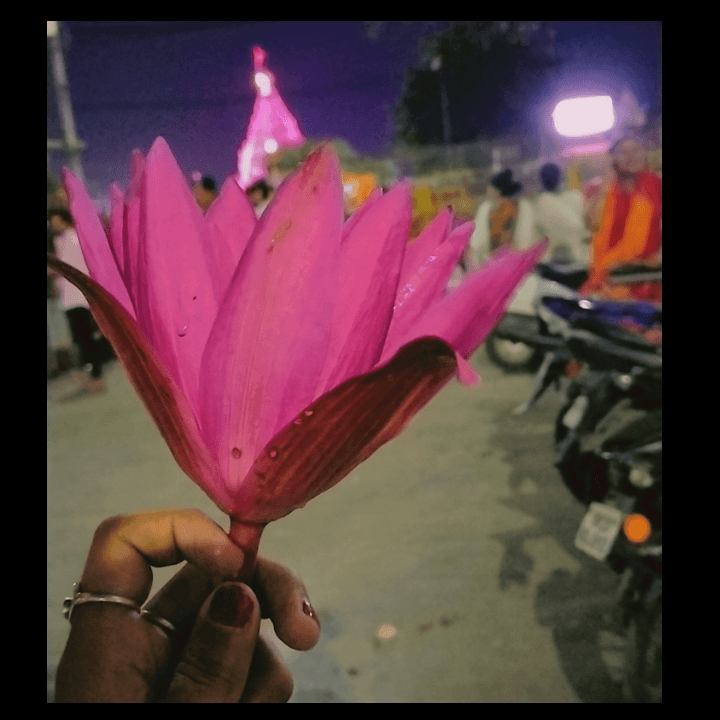 Bhumi Nag